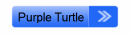 Purple Turtle Purple Turtle
