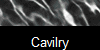Cavilry