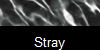 Stray