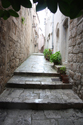 index_0493